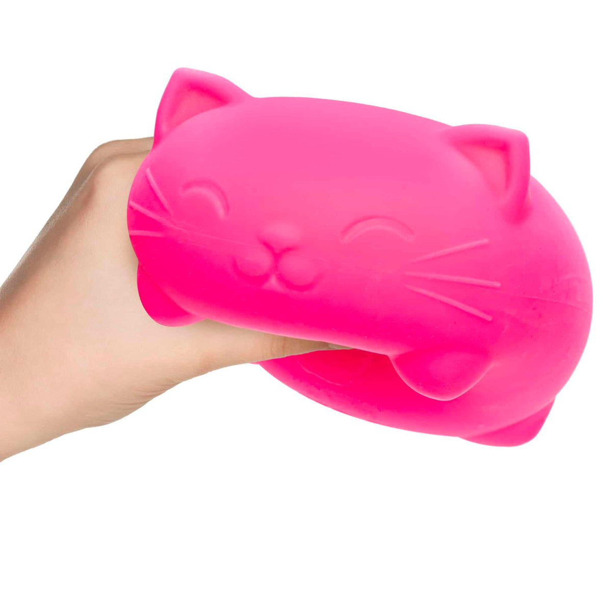Super NeeDoh Cool Cats MN35